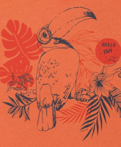 T-shirt Garçon Col Rond Orange 7 T-shirt Garçon Col Rond Orange -Vetements Simples Magasin prod 6967 tee shirt mc orange citrouille axul 666x812 fc7ea0111e0b