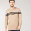 Pull Beige Homme